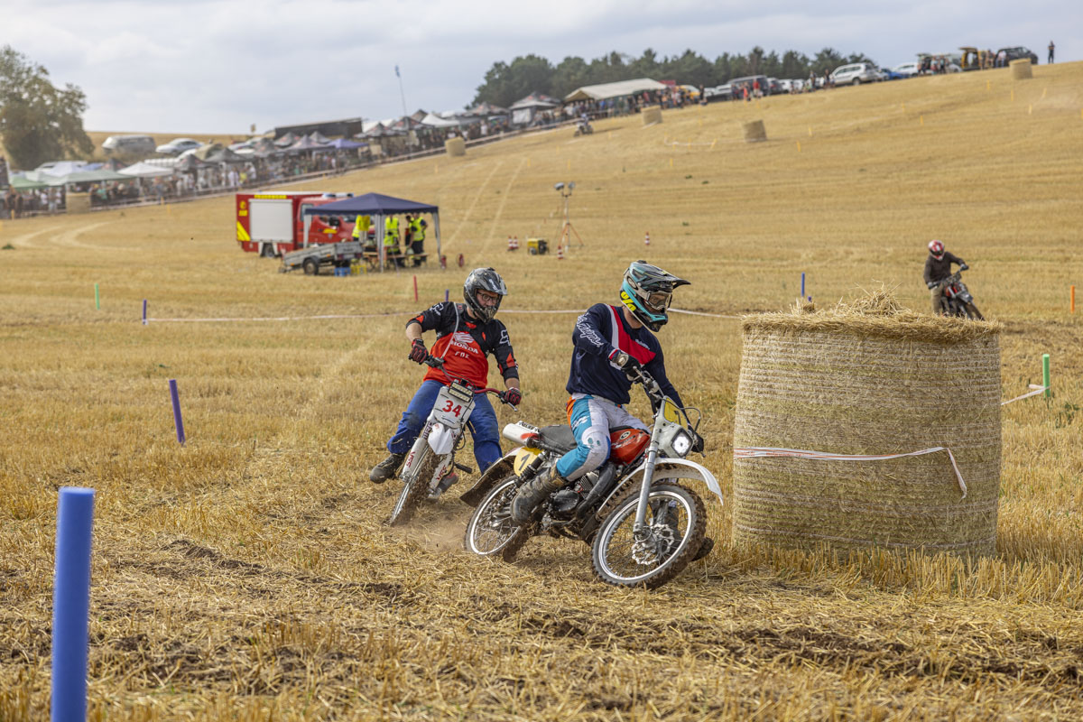 Foto: OberpfalzECHO/David Trott