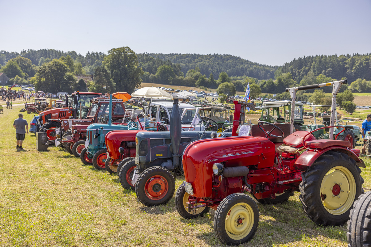 Foto: OberpfalzECHO/David Trott