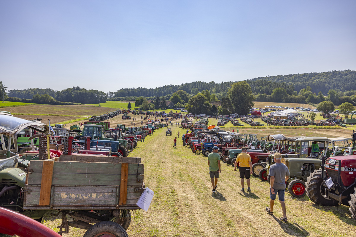 Foto: OberpfalzECHO/David Trott