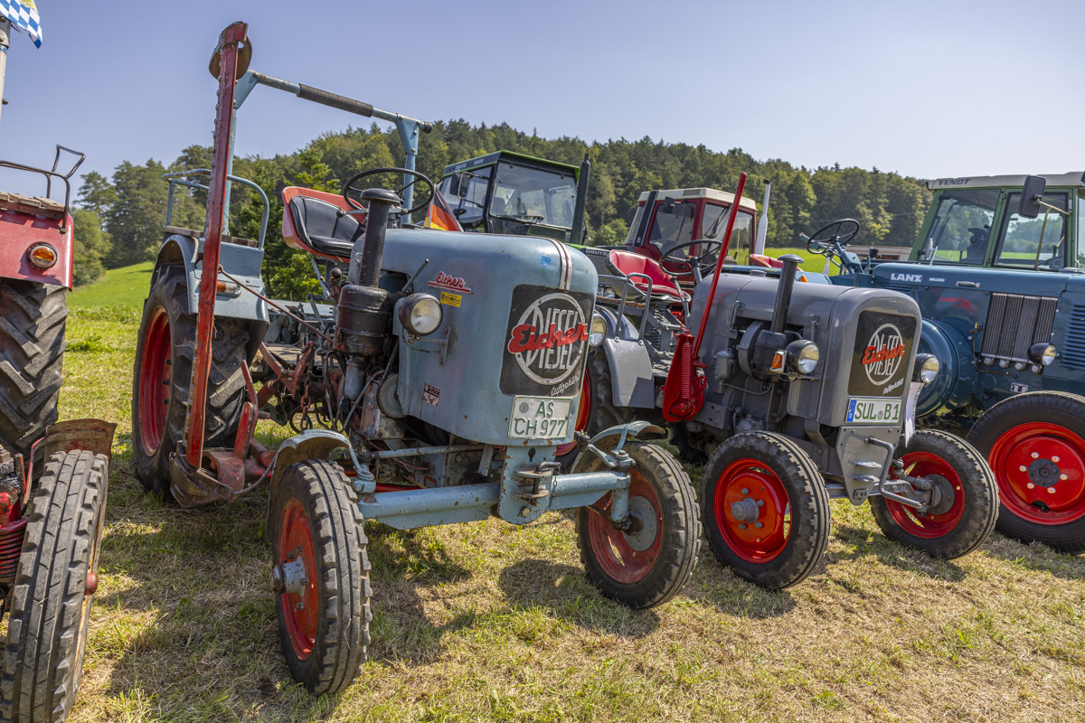 Foto: OberpfalzECHO/David Trott