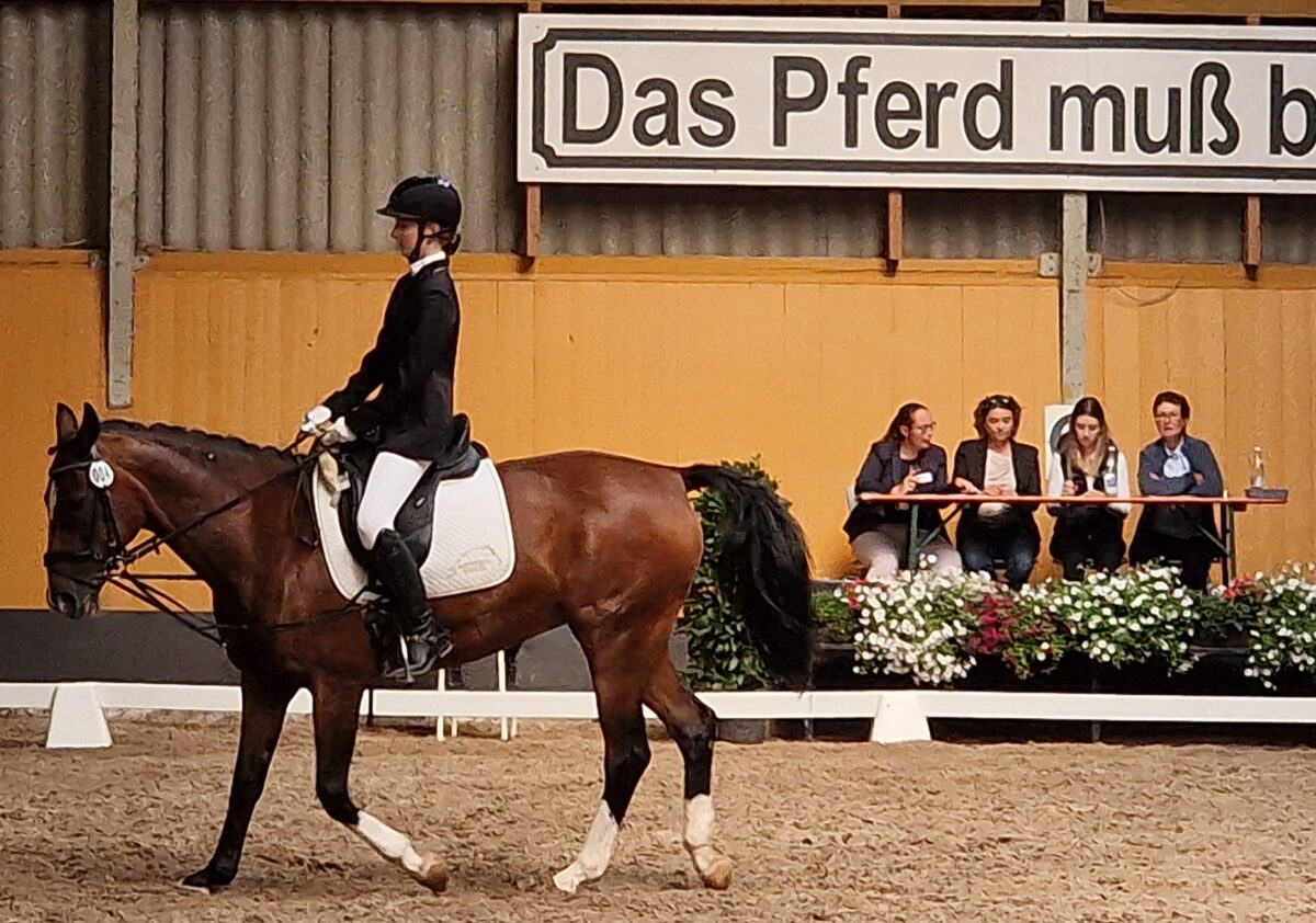 Sophia Gollwitzer auf Tristan. Foto: Reinhard Kreuzer