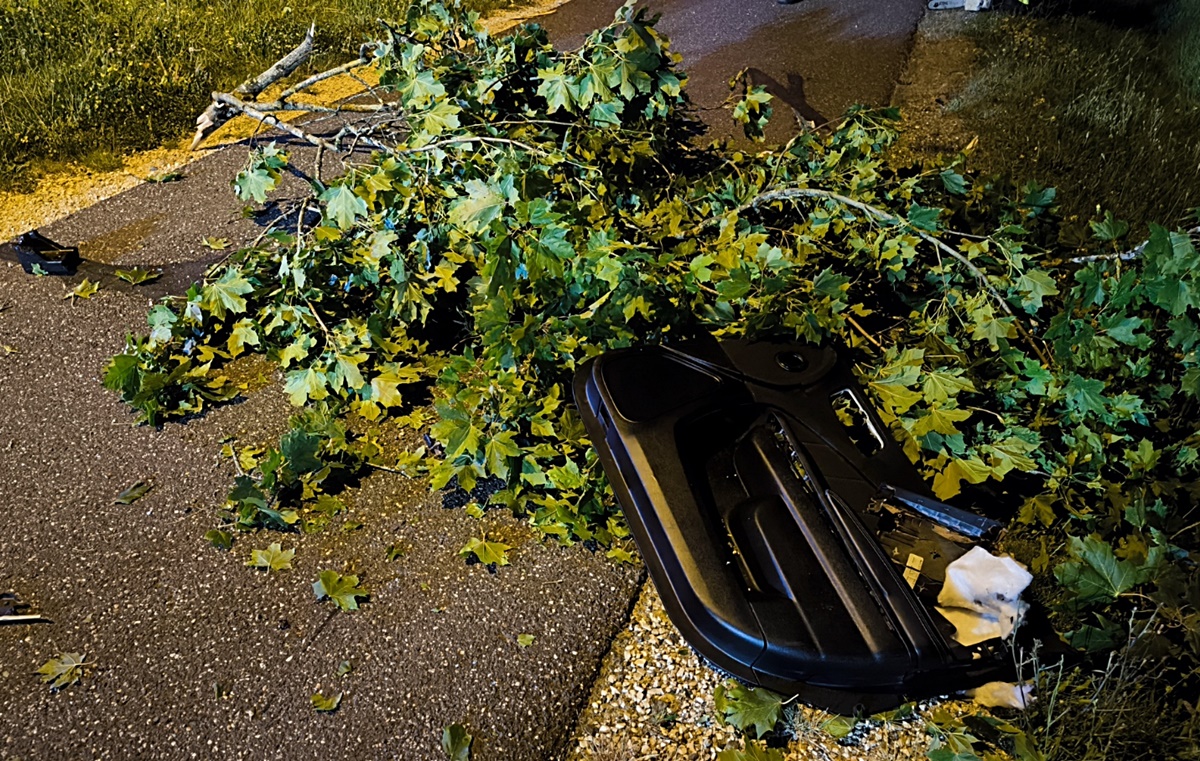 Einen Baum nahm der Wagen ebenfalls mit. Foto: Jürgen Masching